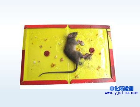 粘鼠板檢測
